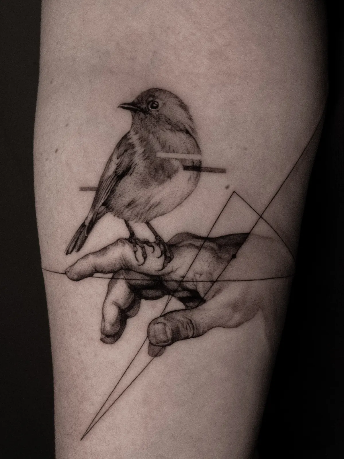 Sparrow on Hand (Detail) — Tattoo von Ted Faulmann