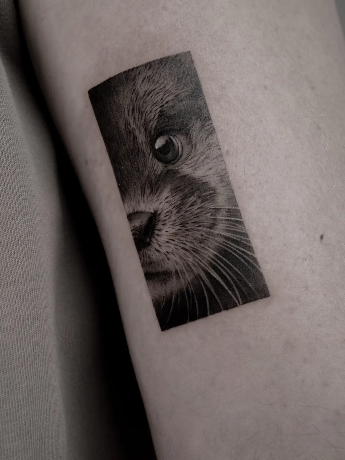 Fragment (Detail) — Tattoo von Ted Faulmann