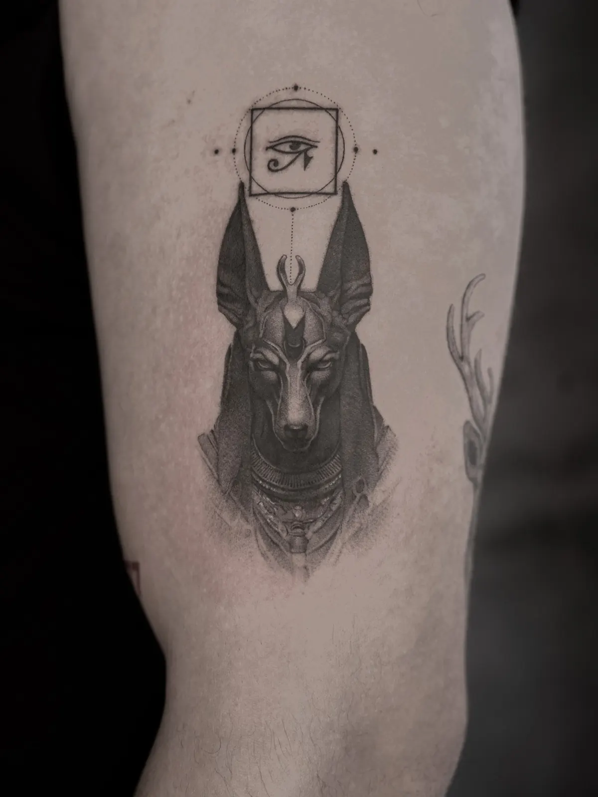 Anubis (Detail) — Tattoo von Ted Faulmann